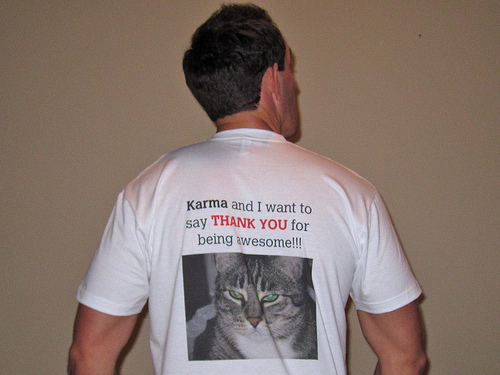 I wear your shirt - Katzencontent