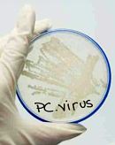 PC Virus